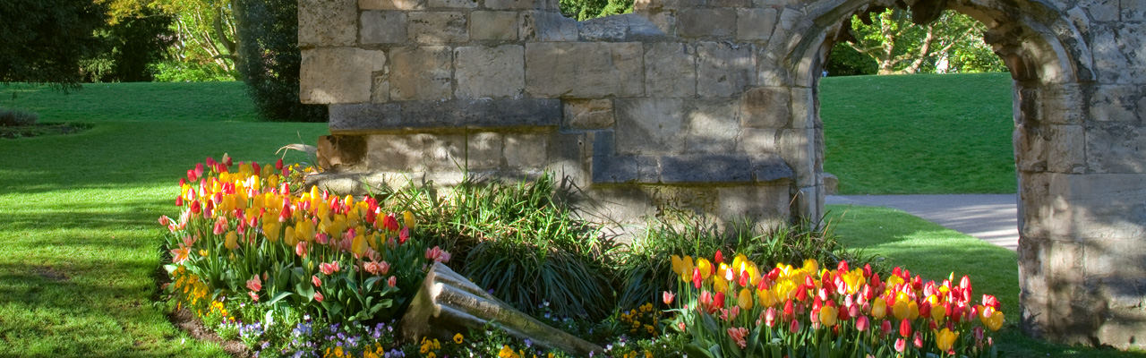 Flowers and St Mary’s Abbey ruins in Museum Gardens